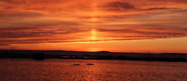 Solnedgång